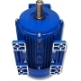 SILNIK ELEKTRYCZNY ŁAPOWY 1,5kW 400V 1410obr WAŁEK 24mm 3-FAZOWY